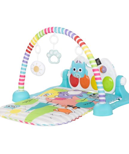 Smart Steps? Musical STEM Gym